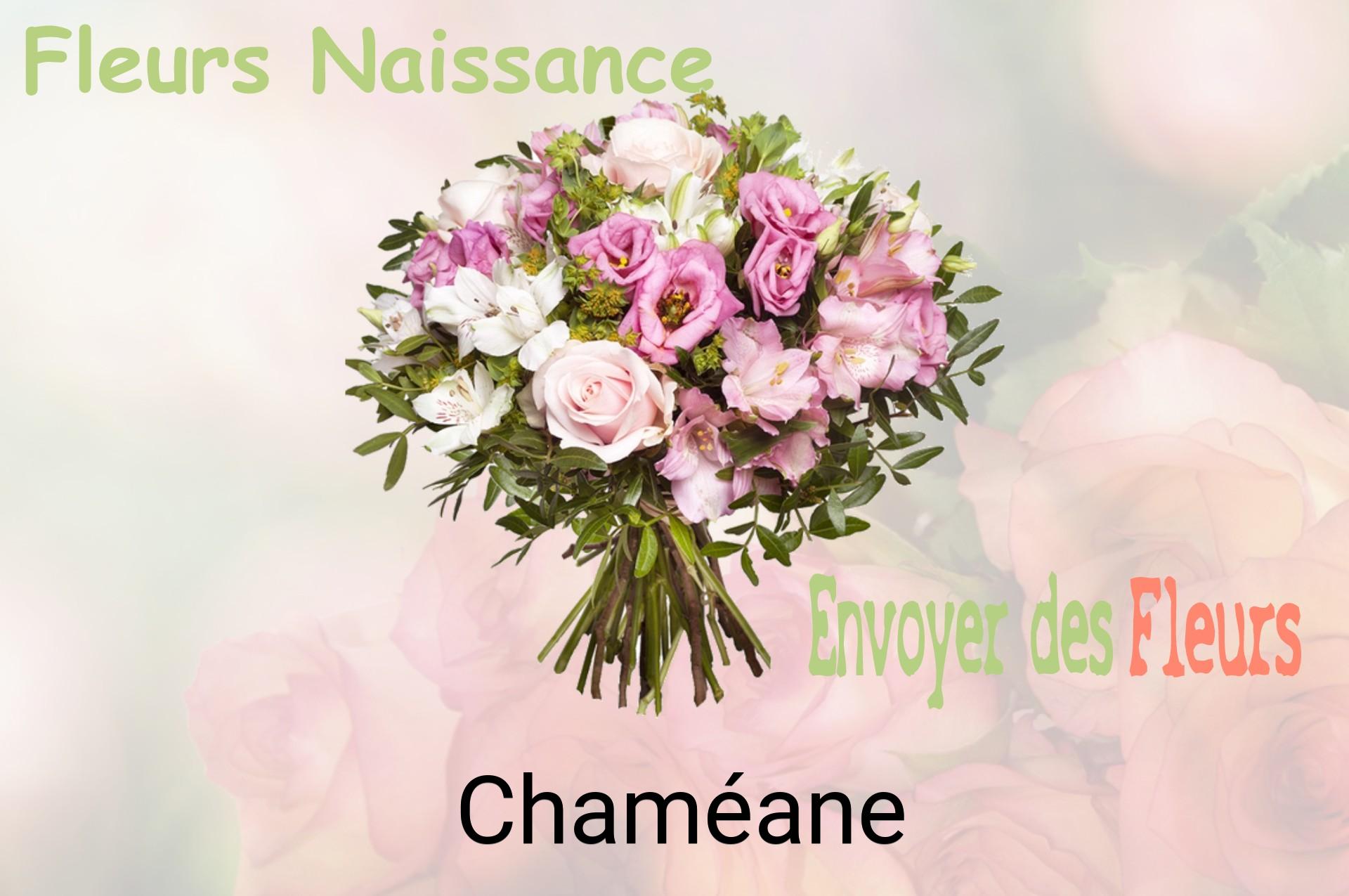 Bouquet de fleurs de naissance livré à Chaméane