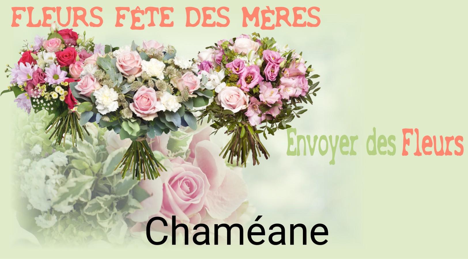 Bouquet de Fête des Mères livré à Chaméane